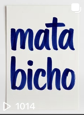 Mata bicho